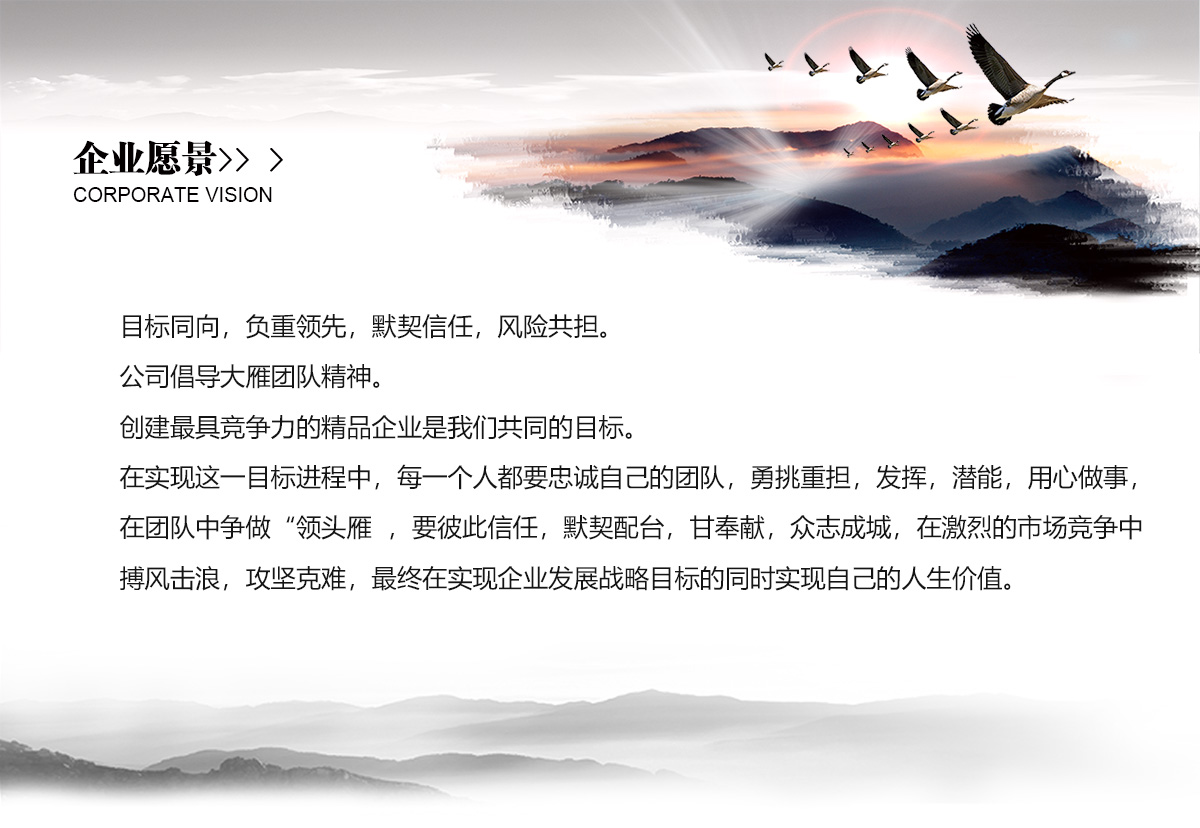 企業愿景